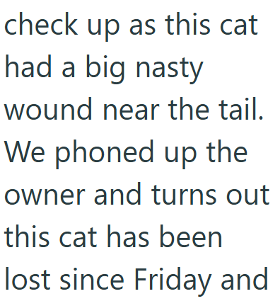 check up as this cat had a big nasty wound near the tail. We phoned up the owner and turns out this cat has been lost since Friday and