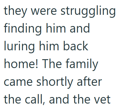 they were struggling finding him and luring him back home! The family came shortly after the call, and the vet