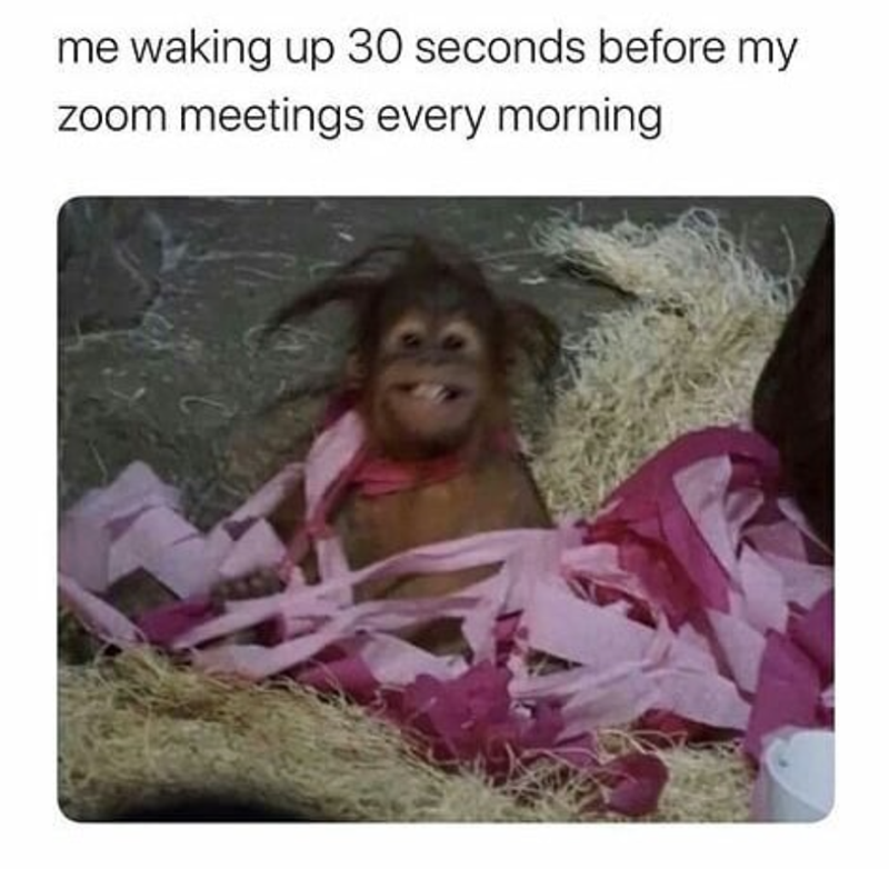 me waking up 30 seconds before my zoom meetings every morning