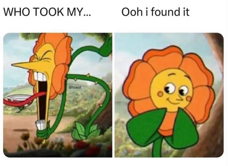 WHO TOOK MY... Ooh i found it @hoest