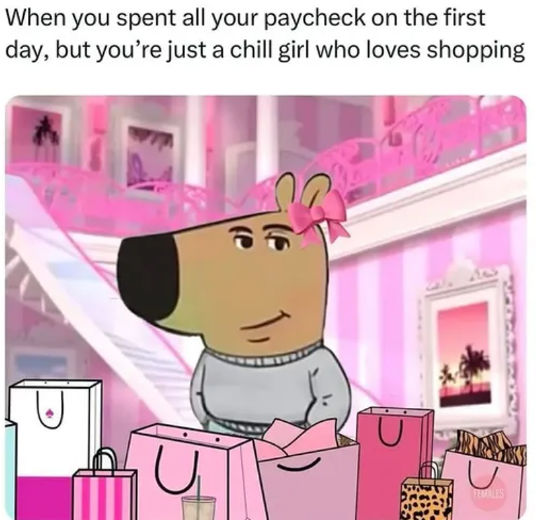 When you spent all your paycheck on the first day, but you're just a chill girl who loves shopping Re FEMALES