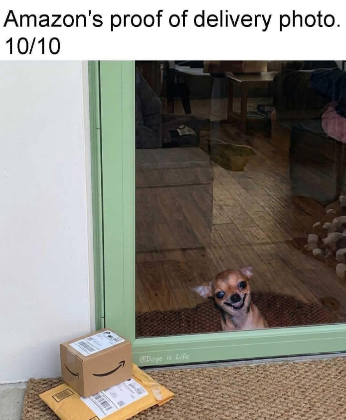 Amazon's proof of delivery photo. 10/10 @Doge is Life