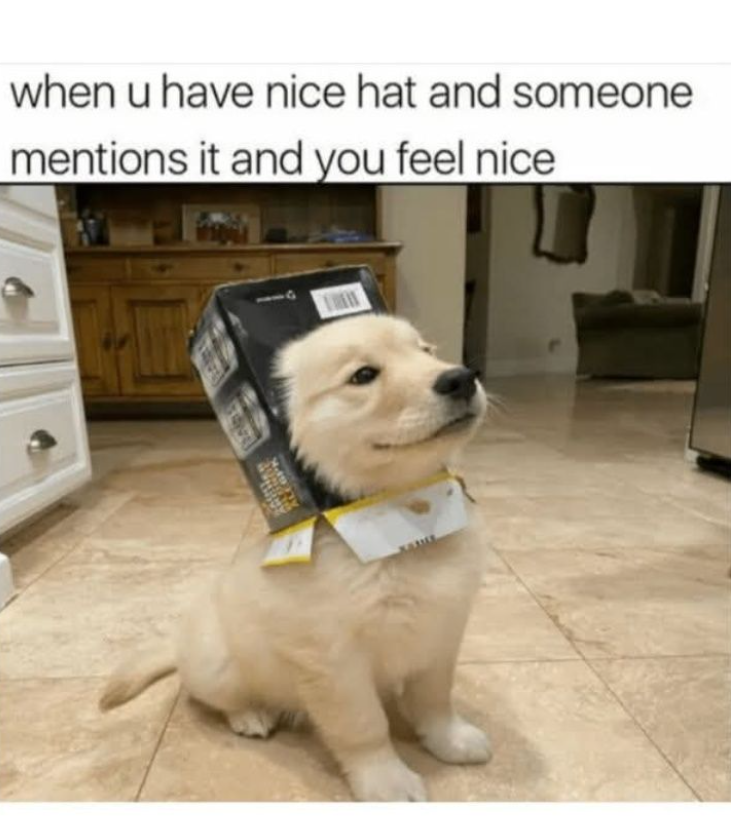 when u have nice hat and someone mentions it and you feel nice