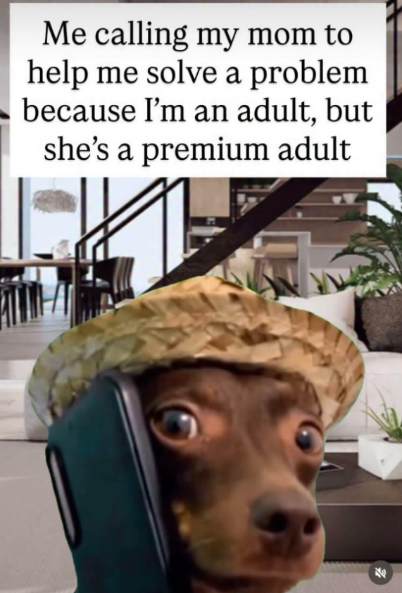 Me calling my mom to help me solve a problem because I'm an adult, but she's a premium adult