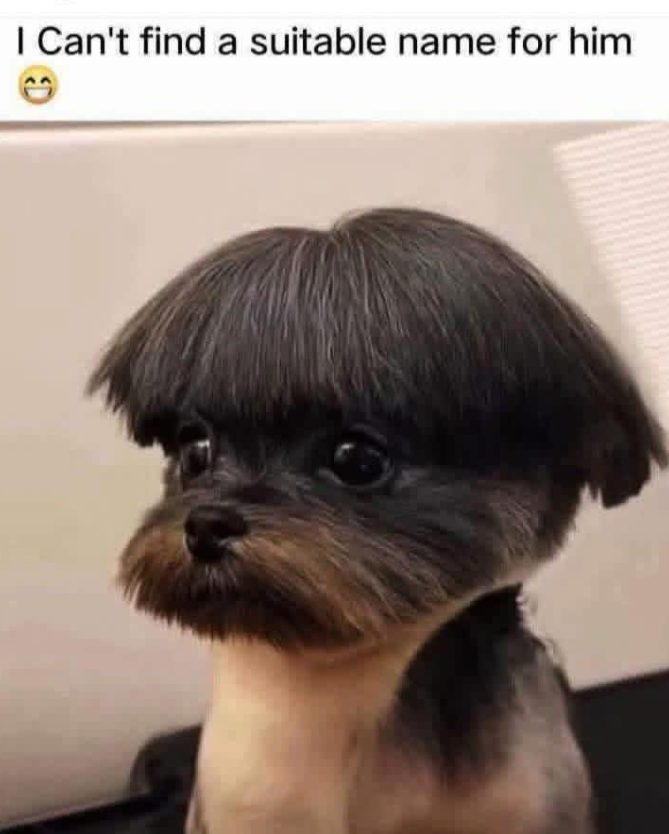 I Can't find a suitable name for him