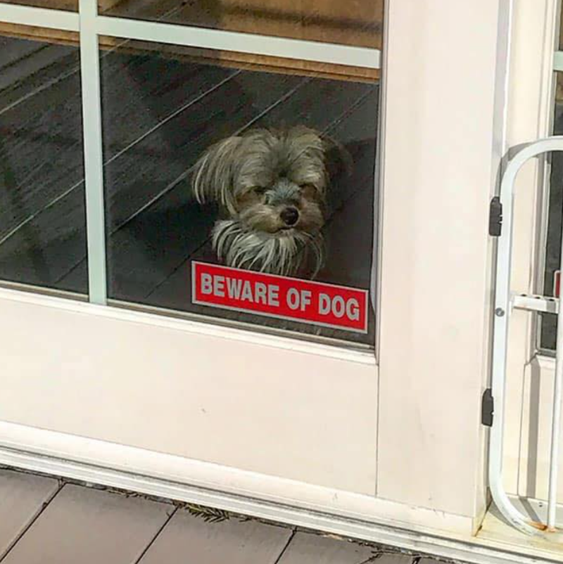 BEWARE OF DOG