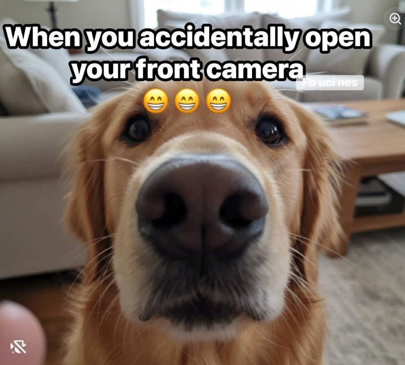 When you accidentally open your front camera Fb uci nes