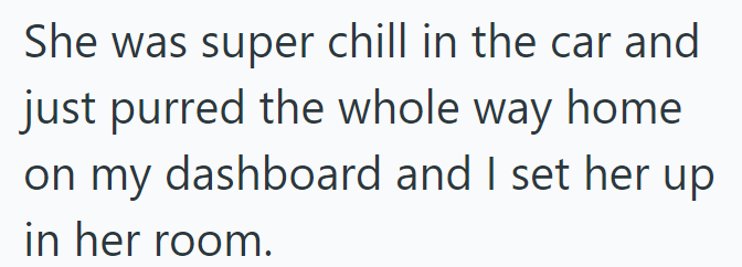 She was super chill in the car and just purred the whole way home on my dashboard and I set her up in her room.