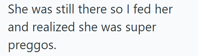 She was still there so I fed her and realized she was super preggos.