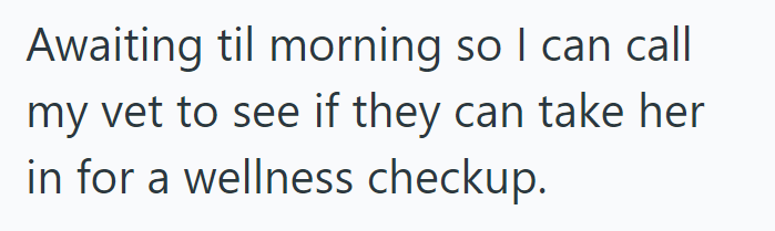 Awaiting til morning so I can call my vet to see if they can take her in for a wellness checkup.