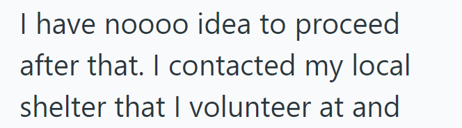 I have noooo idea to proceed after that. I contacted my local shelter that I volunteer at and