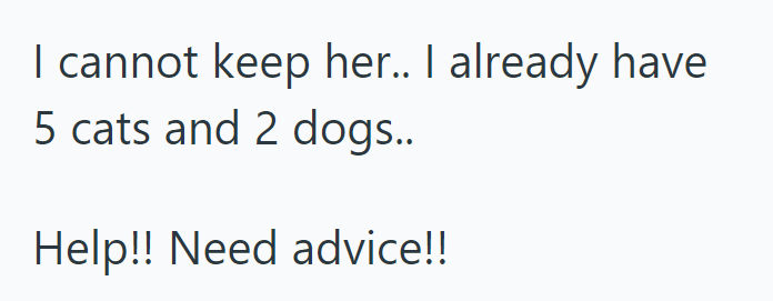 I cannot keep her.. I already have 5 cats and 2 dogs.. Help!! Need advice!!