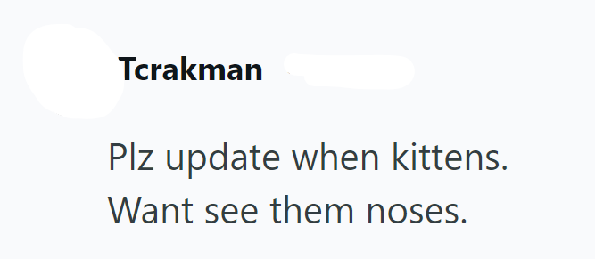 Tcrakman Plz update when kittens. Want see them noses.