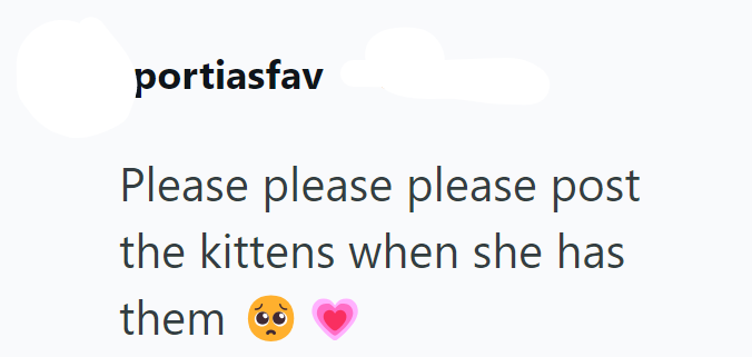 portiasfav Please please please post the kittens when she has them