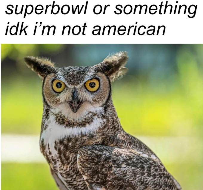 superbowl or something idk i'm not american