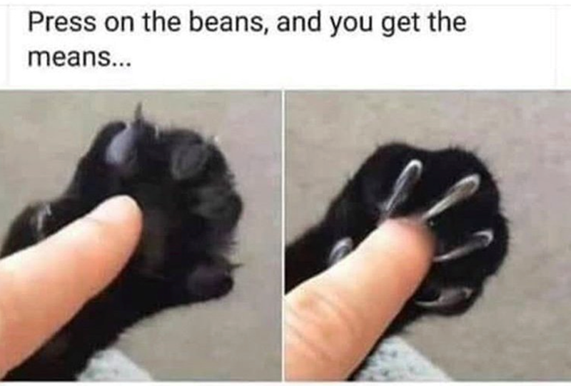 Press on the beans, and you get the means...