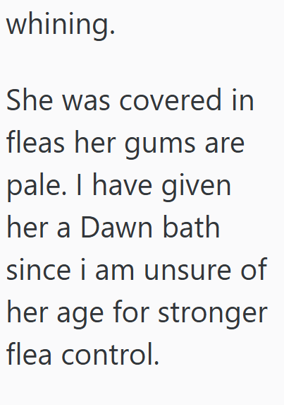 whining. She was covered in fleas her gums are pale. I have given her a Dawn bath since i am unsure of her age for stronger flea control.