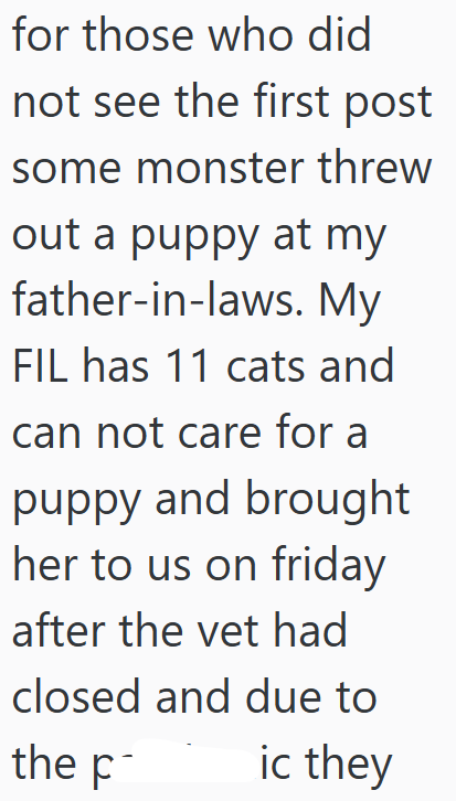 for those who did not see the first post some monster threw out a puppy at my father-in-laws. My FIL has 11 cats and can not care for a puppy and brought her to us on friday after the vet had closed and due to the F ic they