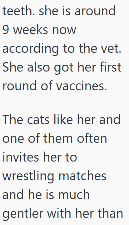 teeth. she is around 9 weeks now according to the vet. She also got her first round of vaccines. The cats like her and one of them often invites her to wrestling matches and he is much gentler with her than