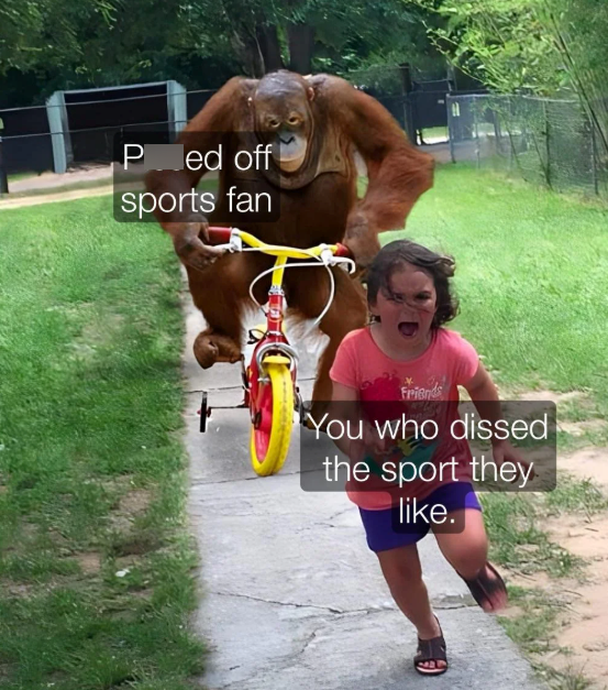 Ped off sports fan Friends You who dissed the sport they like.