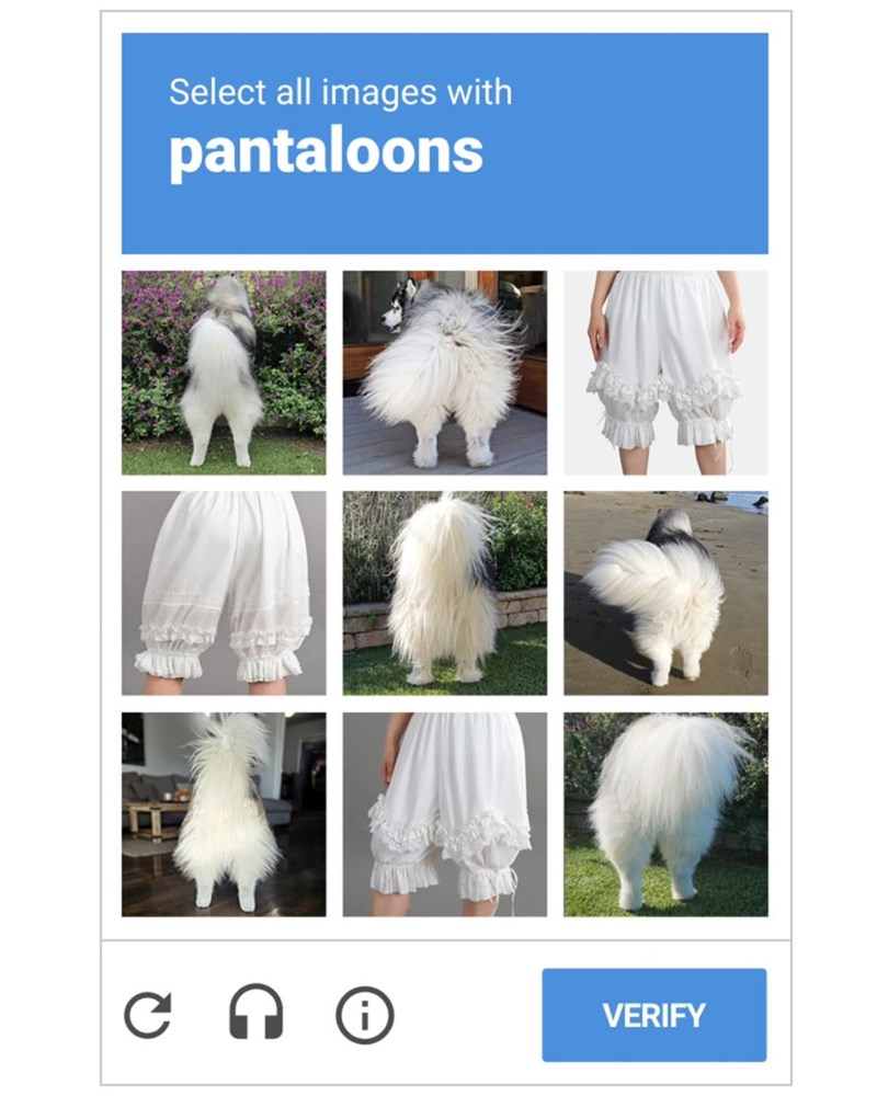 Select all images with pantaloons C C VERIFY
