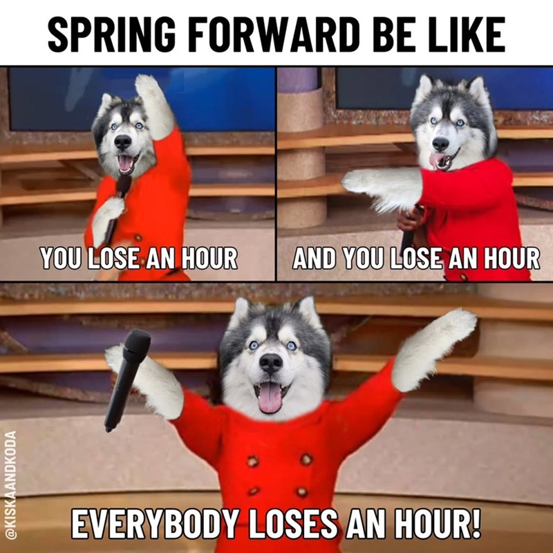 @KISKAANDKODA SPRING FORWARD BE LIKE YOU LOSE AN HOUR AND YOU LOSE AN HOUR EVERYBODY LOSES AN HOUR!
