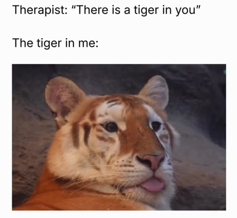 Therapist: "There is a tiger in you" The tiger in me: