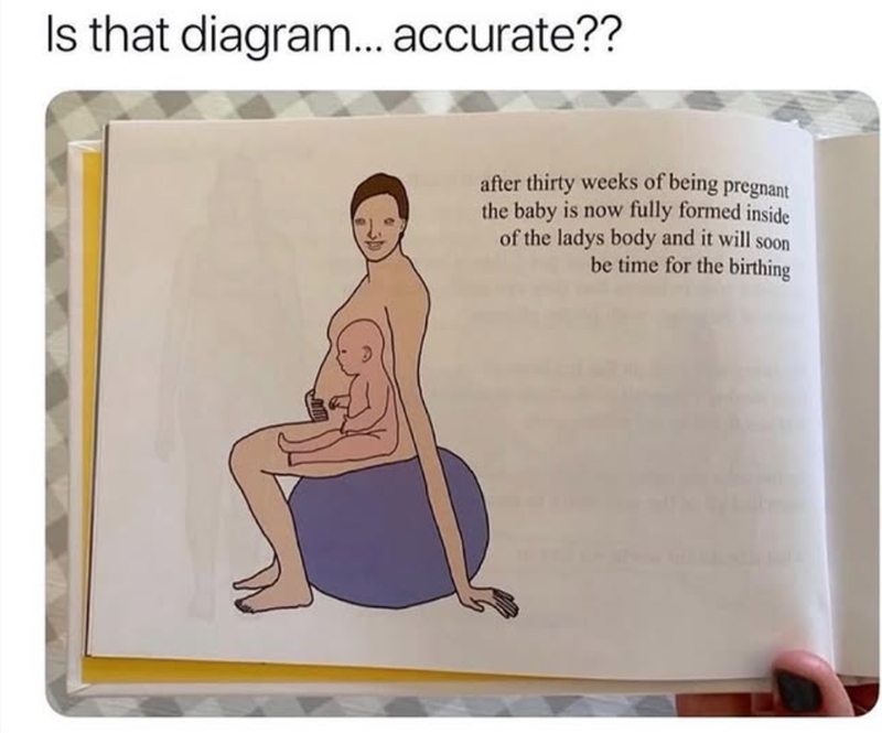 Is that diagram... accurate?? after thirty weeks of being pregnant the baby is now fully formed inside of the ladys body and it will soon be time for the birthing
