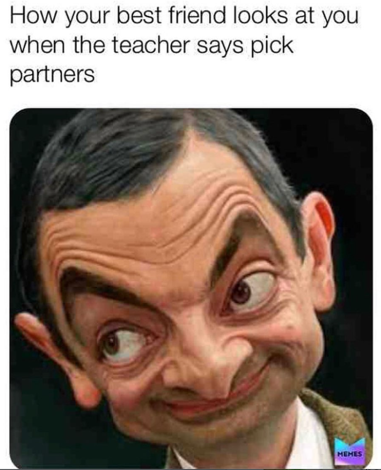 How your best friend looks at you when the teacher says pick partners MEMES