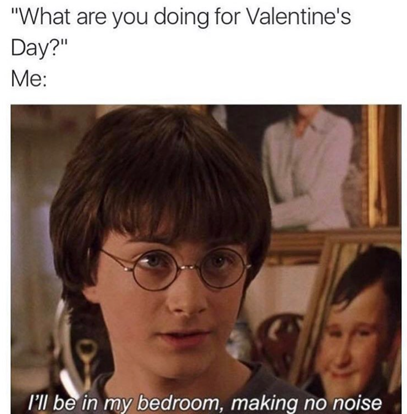 "What are you doing for Valentine's Day?" Me: I'll be in my bedroom, making no noise