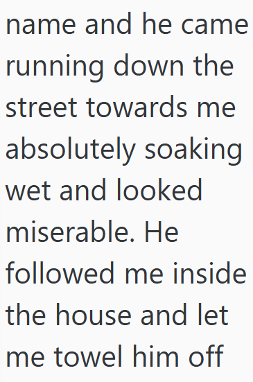 name and he came running down the street towards me absolutely soaking wet and looked miserable. He followed me inside the house and let me towel him off