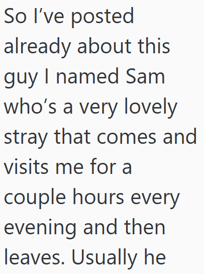 So I've posted already about this guy I named Sam who's a very lovely stray that comes and visits me for a couple hours every evening and then leaves. Usually he