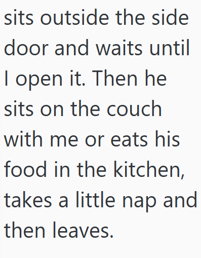 sits outside the side door and waits until I open it. Then he sits on the couch with me or eats his food in the kitchen, takes a little nap and then leaves.