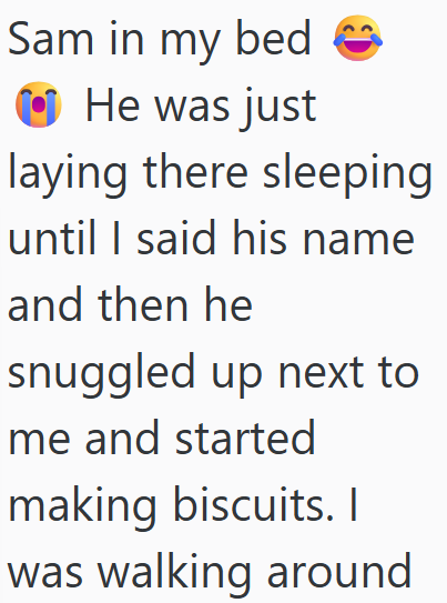 Sam in my bed He was just laying there sleeping until I said his name and then he snuggled up next to me and started making biscuits. I was walking around
