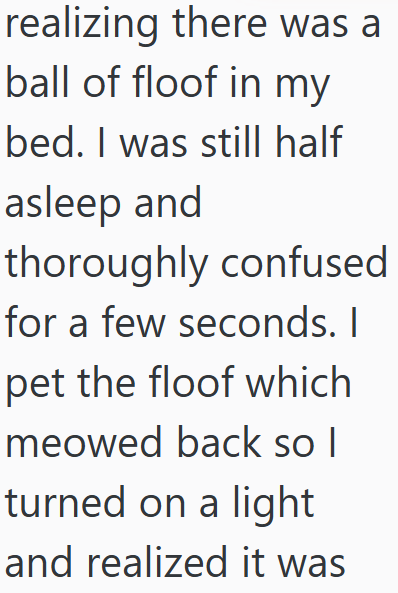 realizing there was a ball of floof in my bed. I was still half asleep and thoroughly confused for a few seconds. I pet the floof which meowed back so I turned on a light and realized it was
