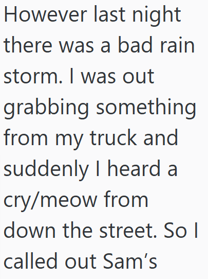 However last night there was a bad rain storm. I was out grabbing something from my truck and suddenly I heard a cry/meow from down the street. So I called out Sam's
