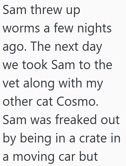 Sam threw up worms a few nights ago. The next day we took Sam to the vet along with my other cat Cosmo. Sam was freaked out by being in a crate in a moving car but