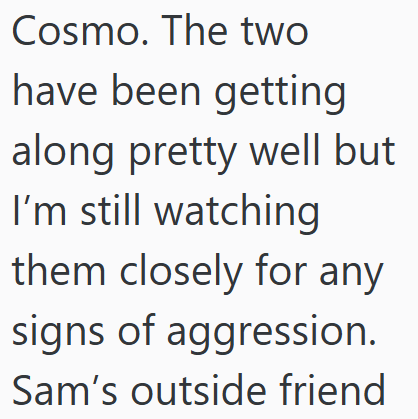 Cosmo. The two have been getting along pretty well but I'm still watching them closely for any signs of aggression. Sam's outside friend