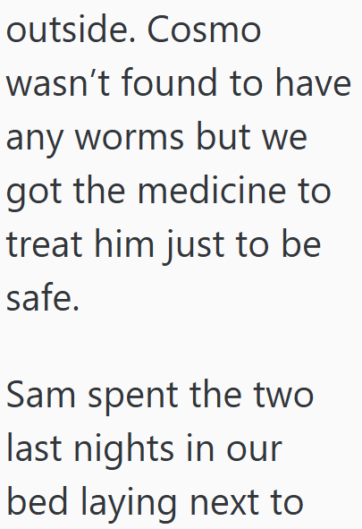 outside. Cosmo wasn't found to have any worms but we got the medicine to treat him just to be safe. Sam spent the two last nights in our bed laying next to