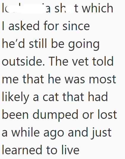 IC' a sh t which I asked for since he'd still be going outside. The vet told me that he was most likely a cat that had been dumped or lost a while ago and just learned to live