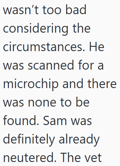 wasn't too bad considering the circumstances. He was scanned for a microchip and there was none to be found. Sam was definitely already neutered. The vet