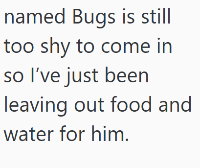 named Bugs is still too shy to come in so I've just been leaving out food and water for him.