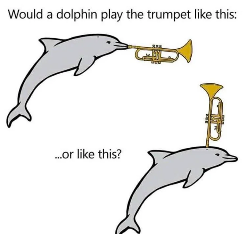 Would a dolphin play the trumpet like this: ...or like this?