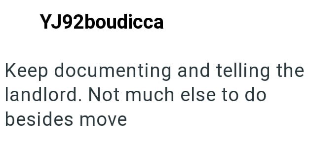 YJ92boudicca Keep documenting and telling the landlord. Not much else to do besides move