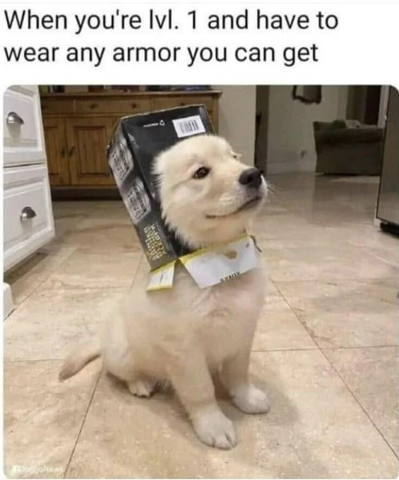 When you're lvl. 1 and have to wear any armor you can get DogoNew