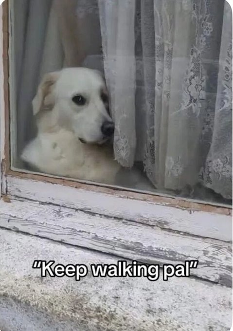 "Keep walking pal"