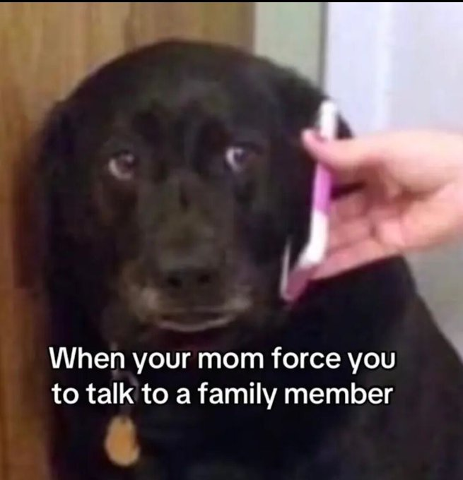 When your mom force you to talk to a family member