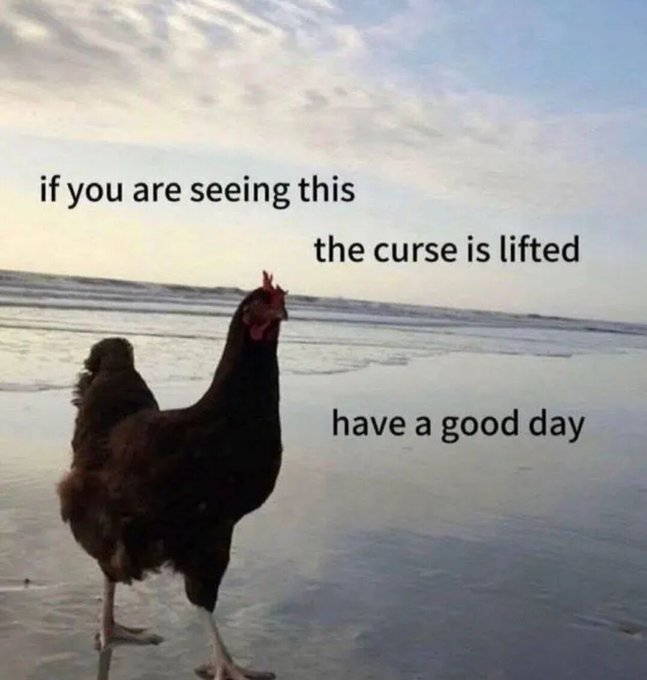 if you are seeing this the curse is lifted have a good day