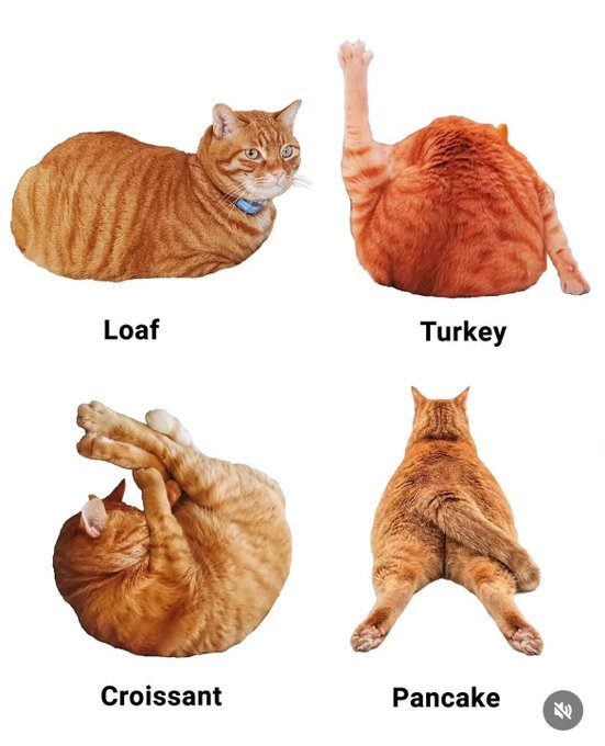 Loaf Turkey Croissant Pancake