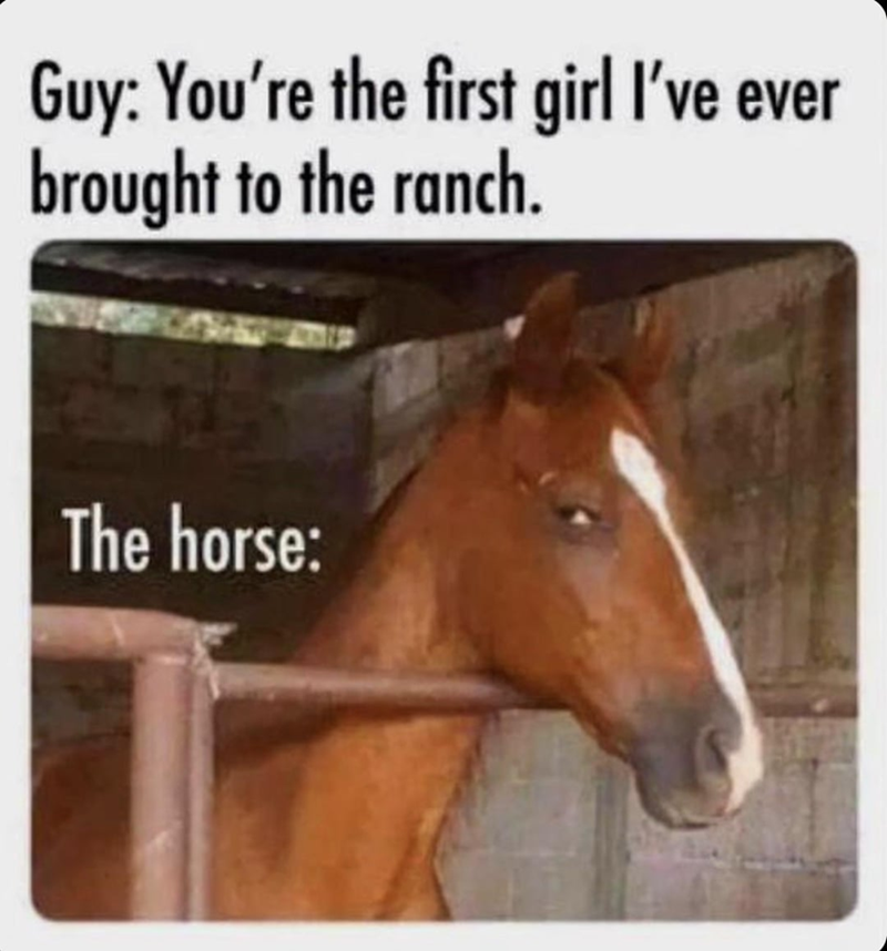 Guy: You're the first girl I've ever brought to the ranch. The horse: